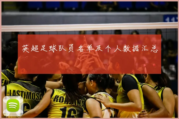 英超足球队员名单及个人数据汇总