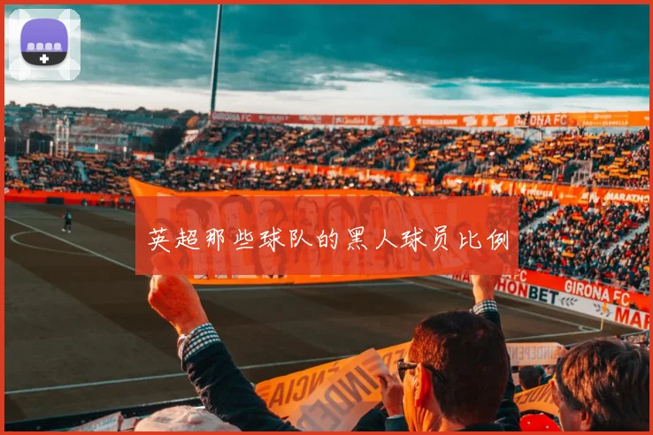 英超那些球队的黑人球员比例