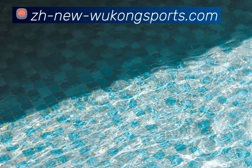 悟空体育平台生态图