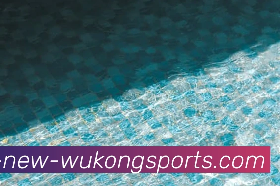 悟空体育APP 封面图